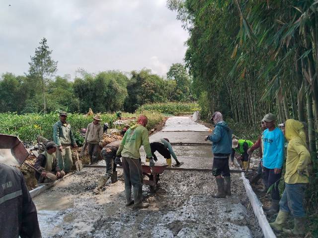 kegiatan-program-pisew-desa-rimpak